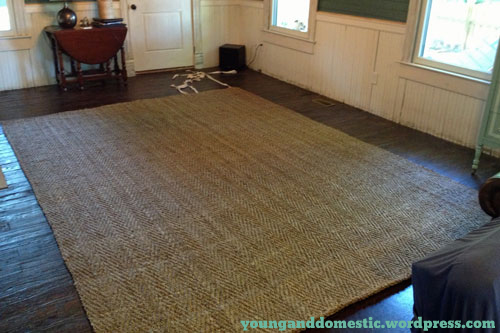 living-room-rug